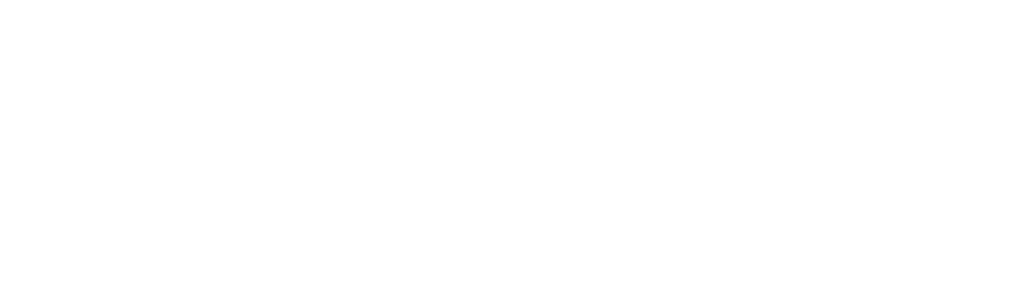 Black Label VP — Virtual Placement and Remote Staffing